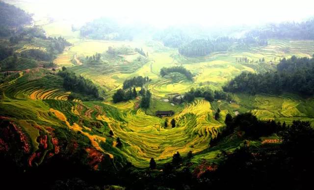 宁波北仑有几个小港,北仑有多少小港