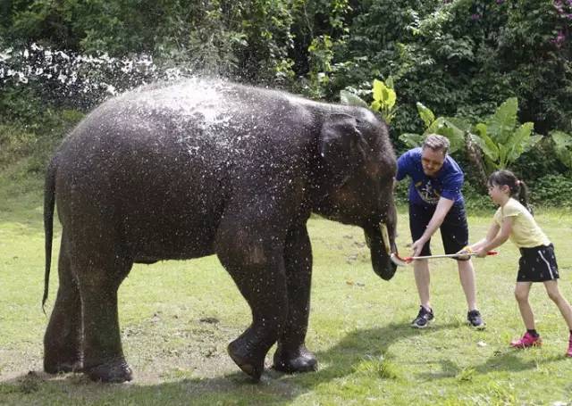 火线狂欢值得买吗,火线狂欢节游戏视频