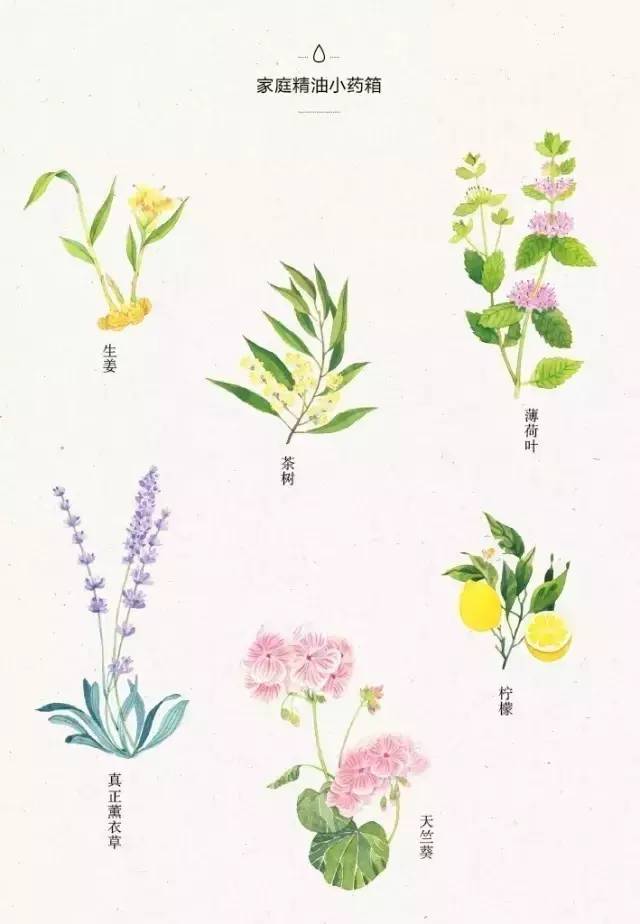 范玮琪曾经有多火,范玮琪最初的梦想有多火