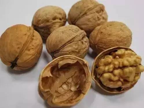 特色农业致富项目加盟,农业种植致富项目大全