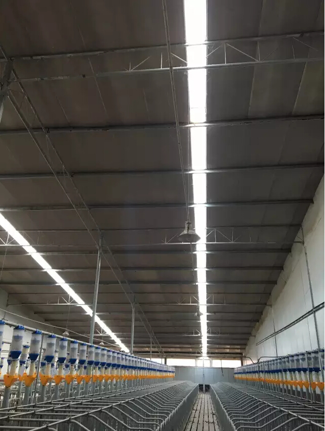 Day4：第三次修炼--在天兆