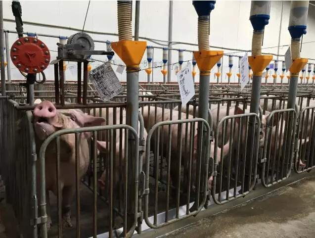 Day4：第三次修炼--在天兆