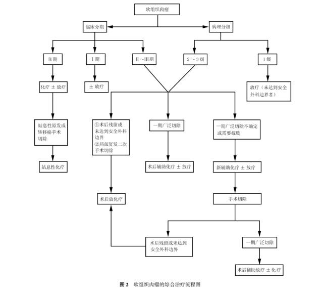 骨肉瘤诊疗指南2022,中国软组织肉瘤诊治策略