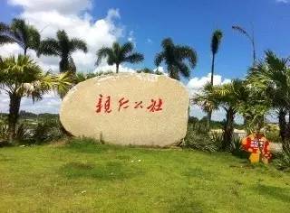 “亲仁公社”圈钱？百名老人上千万养老钱不见踪影