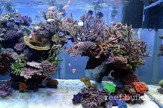 泰国chingcha珊瑚缸,泰国故事神奇的山洞