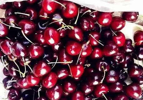 杭州市放假最新官方消息 (杭州放假最新通告)