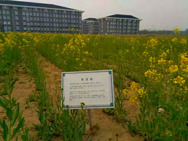 国医·青年嘘，这些秘密只有北中医人才听得懂~