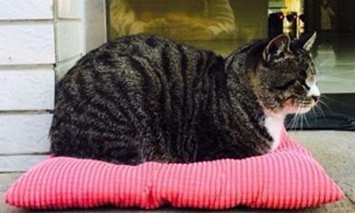 国医·青年嘘，这些秘密只有北中医人才听得懂~