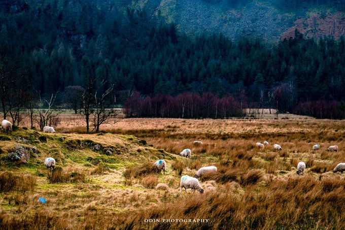 从现实穿越到异世界,穿越英国之旅