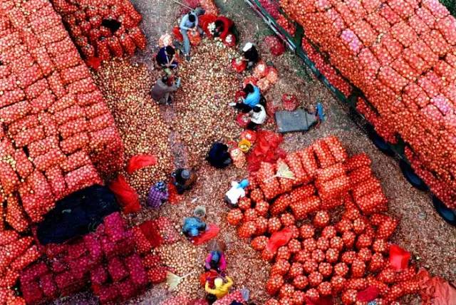 沈阳批发市场找爆款,沈阳市批发市场一览表
