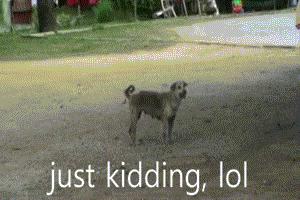 愚人节整蛊大全2019,愚人节十大经典整蛊招式