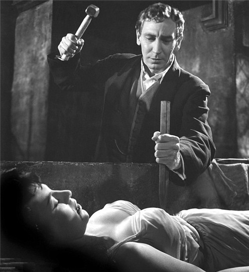 吸血鬼的传说起源于哪种动物,吸血鬼的传说历史