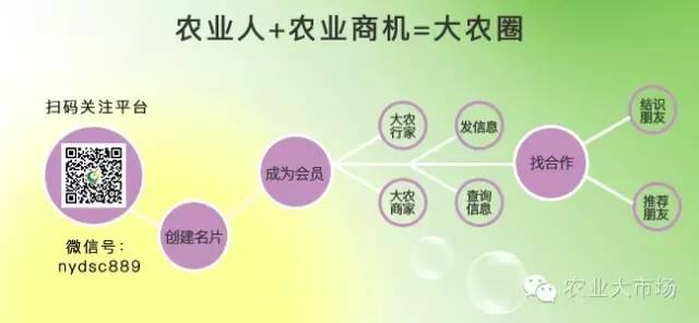 特色农业致富项目加盟,农业种植致富项目大全