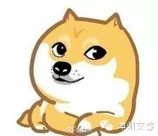 豪雨展开车轮战,快来get涉水行车新技能!