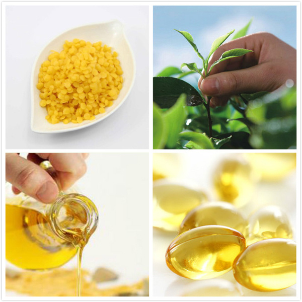 薄荷感强的唇膏,护唇薄荷唇膏