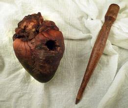 吸血鬼的传说起源于哪种动物,吸血鬼的传说历史