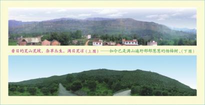 高楼杨梅迎客来,杨梅成熟迎客来