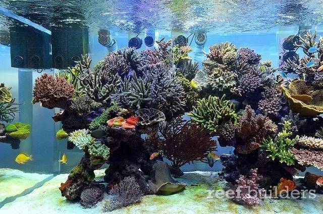 泰国chingcha珊瑚缸,泰国故事神奇的山洞