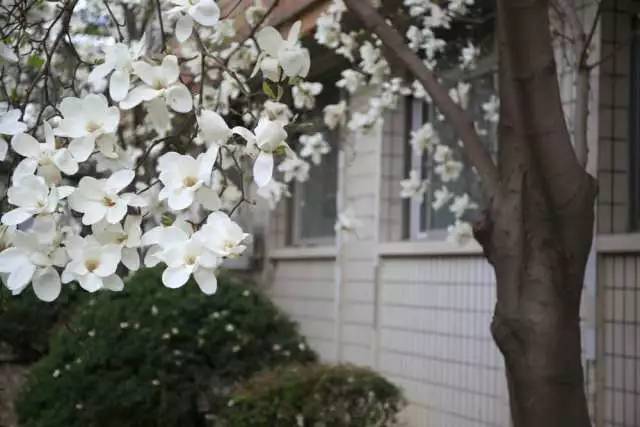 国医·青年嘘，这些秘密只有北中医人才听得懂~