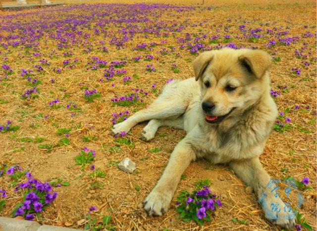 国医·青年嘘，这些秘密只有北中医人才听得懂~