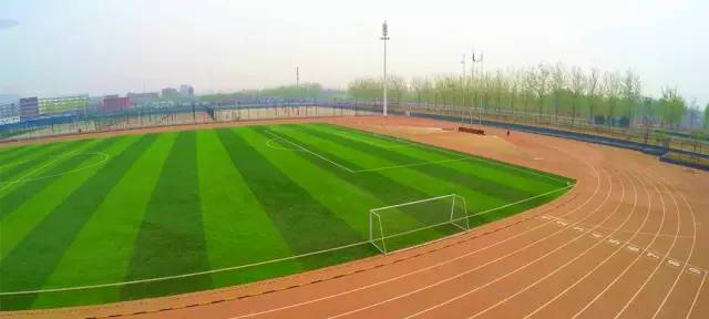 国医·青年嘘，这些秘密只有北中医人才听得懂~