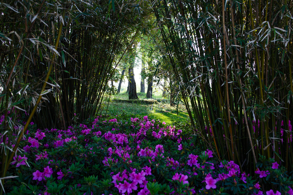 水之密语净润臻养护系列,水之密语净澈180ml