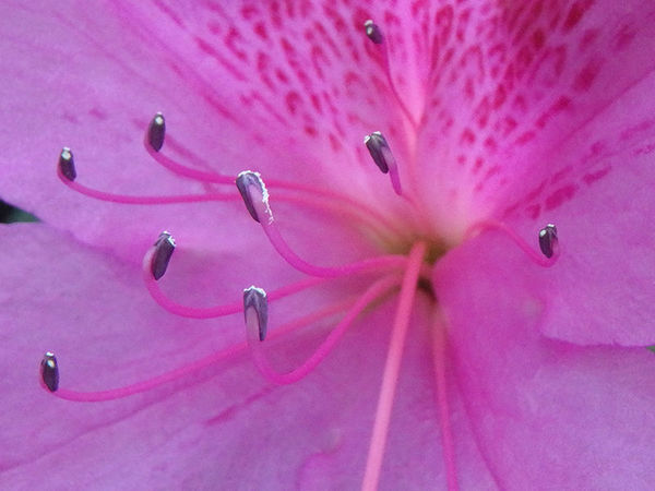 奥林巴斯tg-7运动相机怎样,奥林巴斯tg850拍照