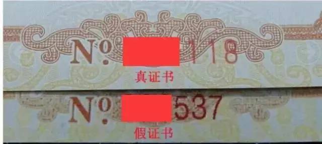 金银币如何鉴别真假,金银币反假