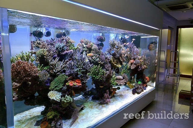 泰国chingcha珊瑚缸,泰国故事神奇的山洞