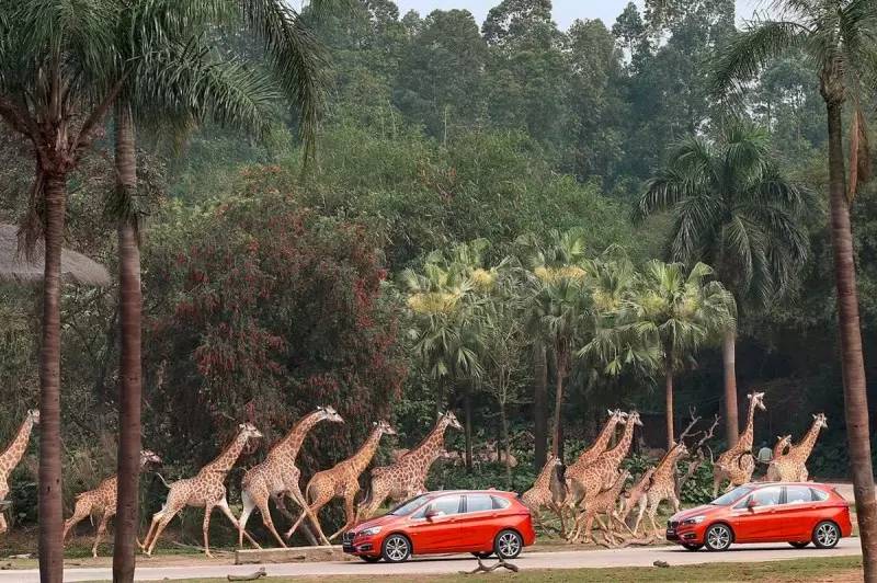 宝马疯了吗？请了5个辣妈带娃来试驾！（超级彩蛋在结尾）