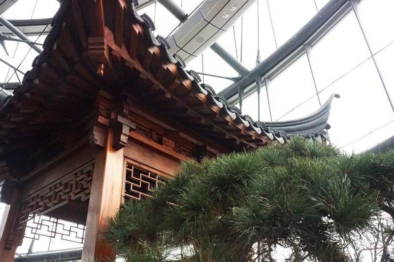 上海中心37楼观复博物馆,上海中心118层和119层有什么区别