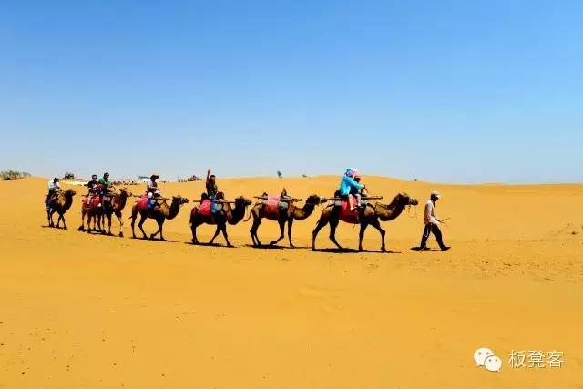 金姐吐槽一针见血,金姐一针见血完整视频