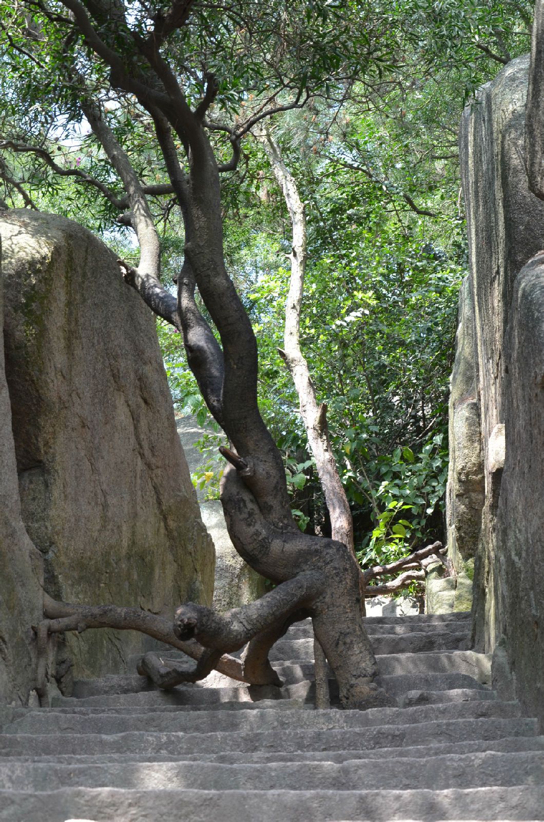 南昌到厦门三天两夜多少钱,南昌到厦门最省钱攻略