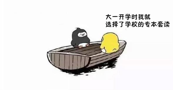 友谊的小船说翻就翻舞台剧,友谊的小船说翻就翻猫和狗