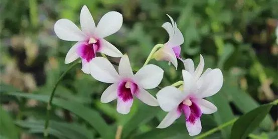 感受海岛三亚的浪漫,三亚湾浪漫之旅