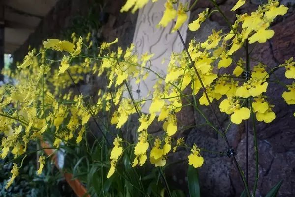 感受海岛三亚的浪漫,三亚湾浪漫之旅