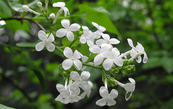 月经病调理经验,紧张害怕焦虑恐惧中医怎么调理