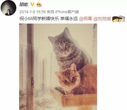 人形立牌被小S又摸又舔，为什么*女熟**们都想睡胡歌？