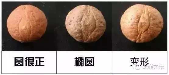 100块，怎样买到好的凤眼菩提？（凤眼价格分析）
