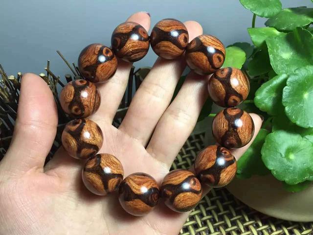 紫檀柳和海黄价钱差距,紫檀柳和海黄是一个品种吗