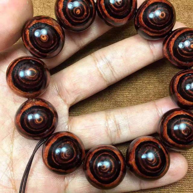 紫檀柳和海黄价钱差距,紫檀柳和海黄是一个品种吗