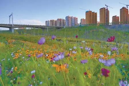 经开区南天阳光新建配套学校,经开区2022年新建学校