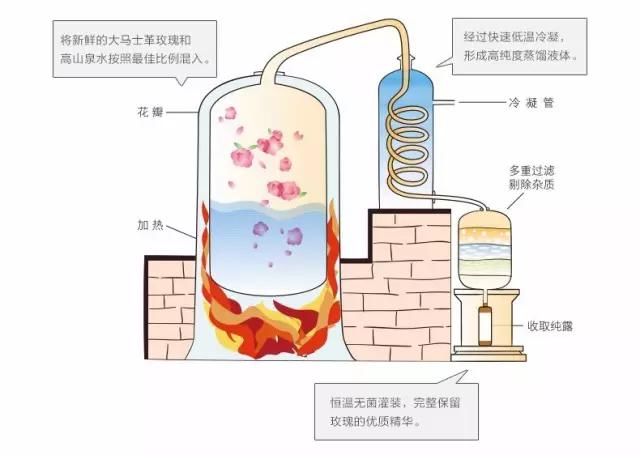 大马士革玫瑰纯露精华水,大马士革玫瑰纯露保湿修复