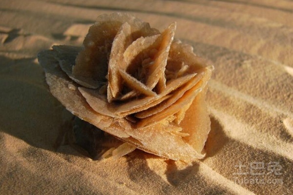 沙漠玫瑰石有收藏价值吗,哪种石头才值得收藏