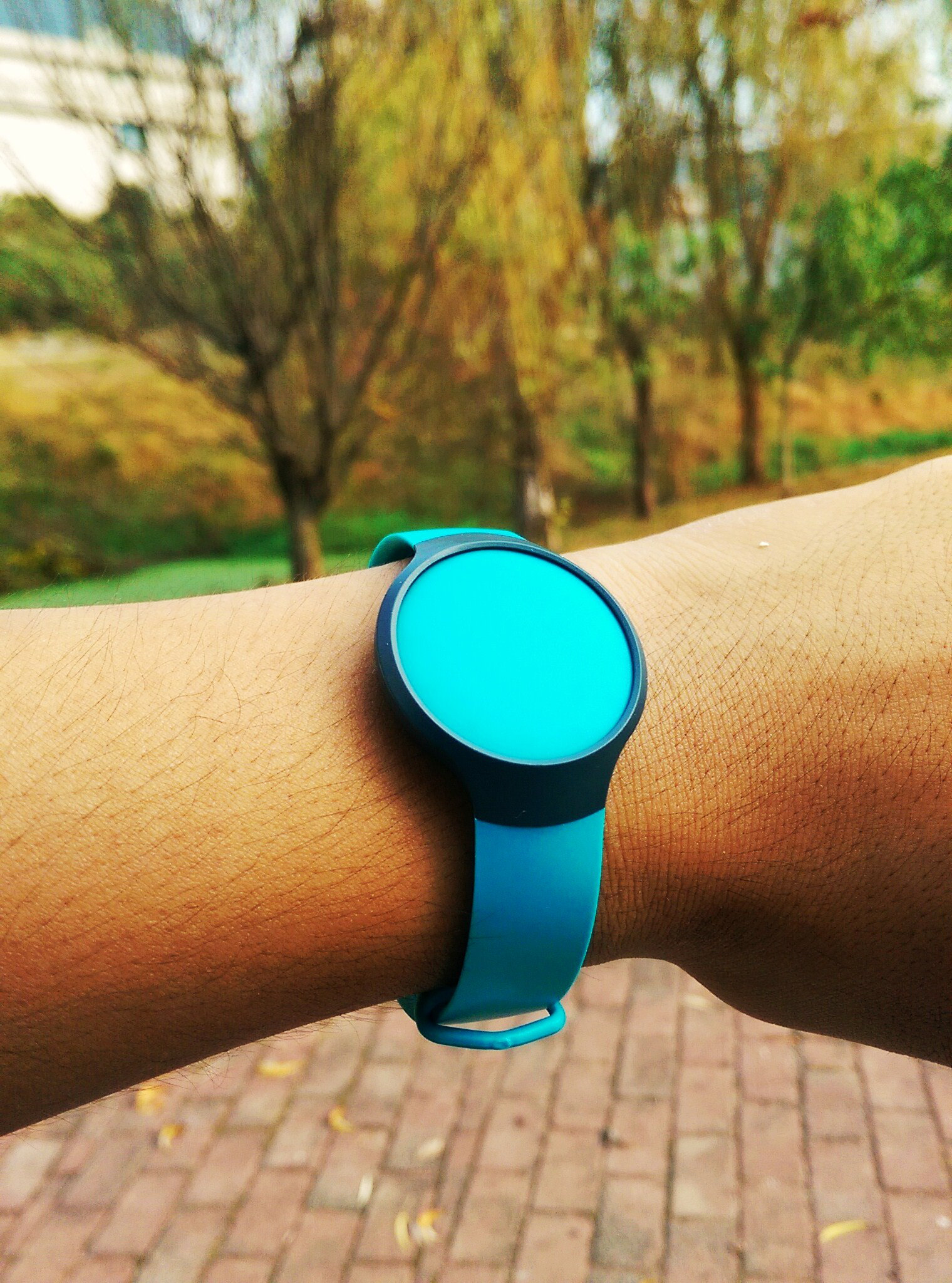 misfit测评,misfit品牌