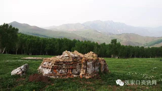 对不起,五一我就呆在张家口!别再约我了!