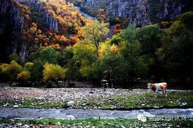 对不起,五一我就呆在张家口!别再约我了!