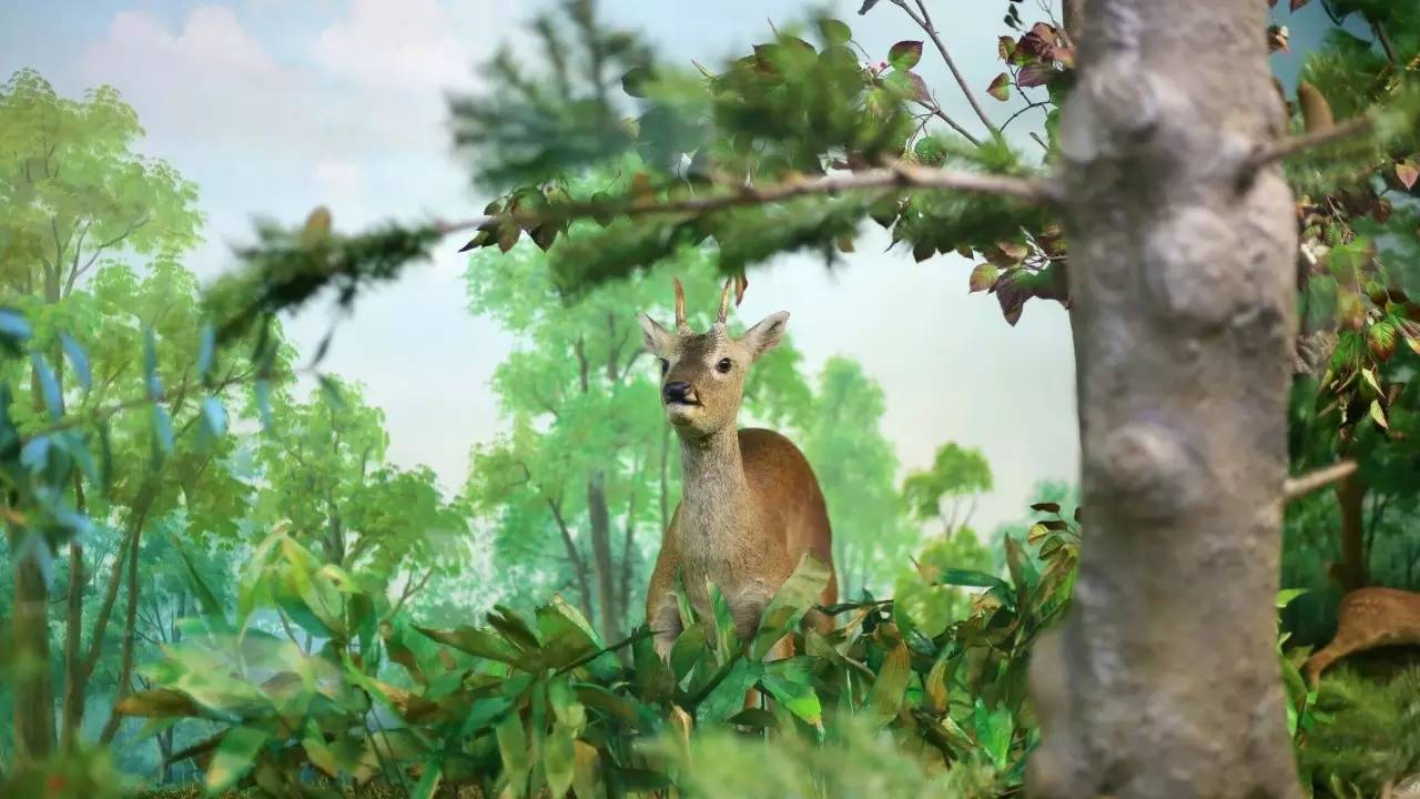 全过程记录，揭秘廉价济州岛跟团游背后的真相