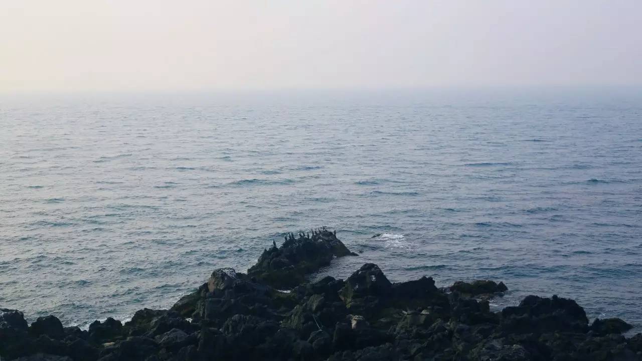 全过程记录，揭秘廉价济州岛跟团游背后的真相