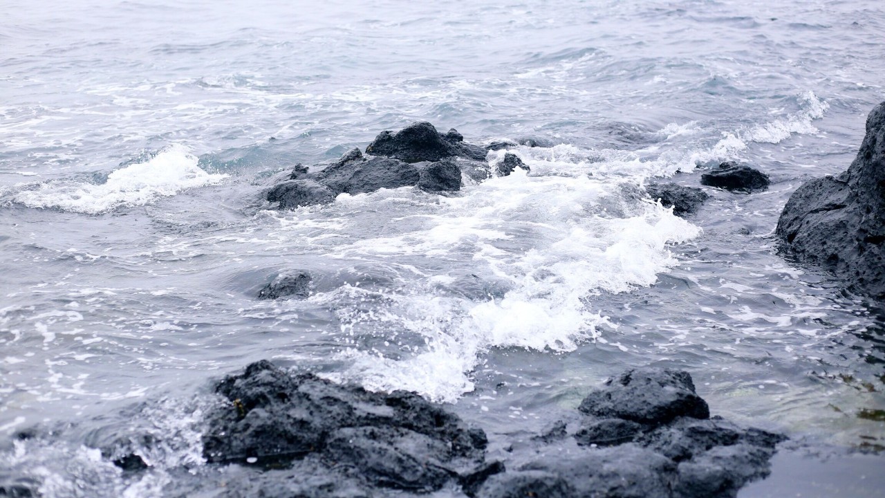 全过程记录，揭秘廉价济州岛跟团游背后的真相